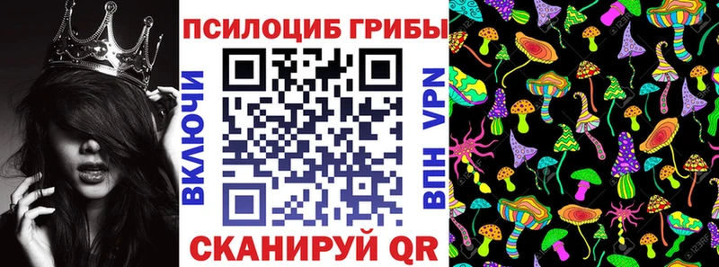 Галлюциногенные грибы Cubensis  купить наркоту  Зуевка 